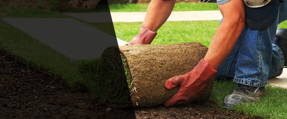 Shiprock Landscapers